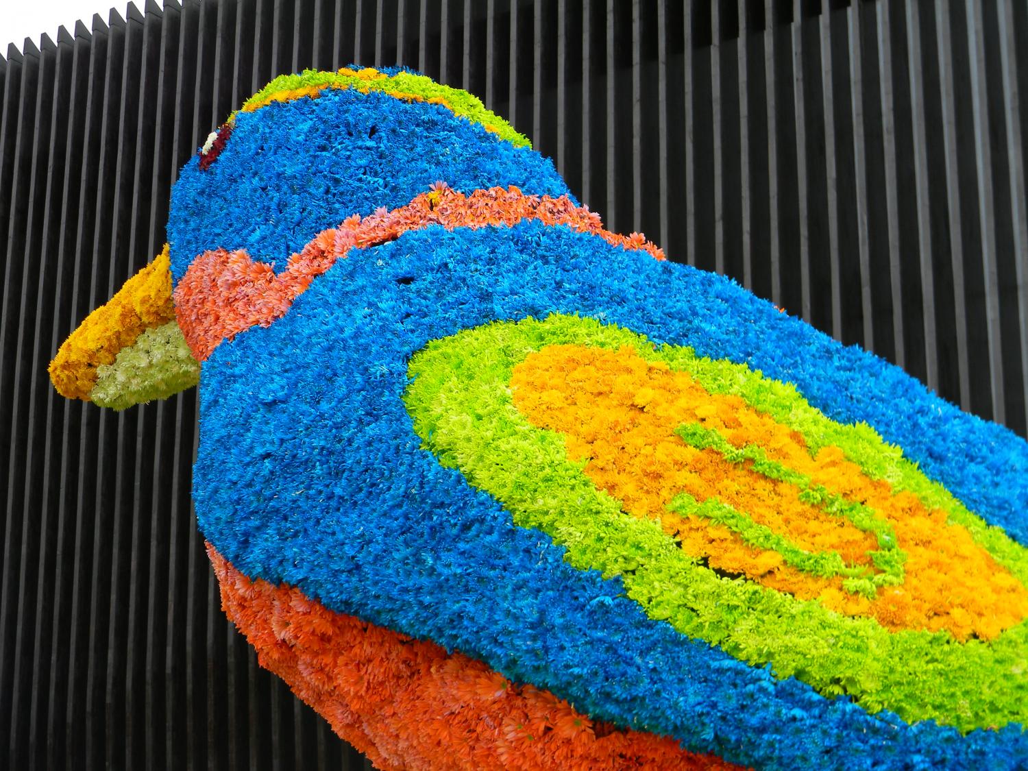 Stunning Sights From Medellin´s Feria de Las Flores