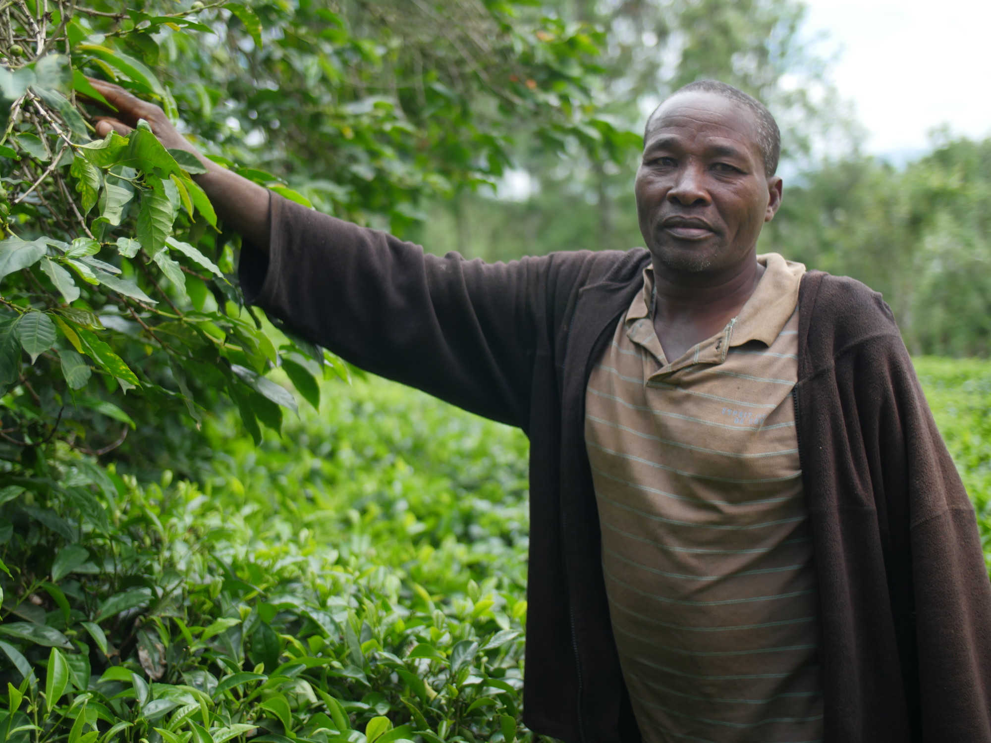 Innovating for tomorrow: Lessons from Kiva Labs’ innovation showcase