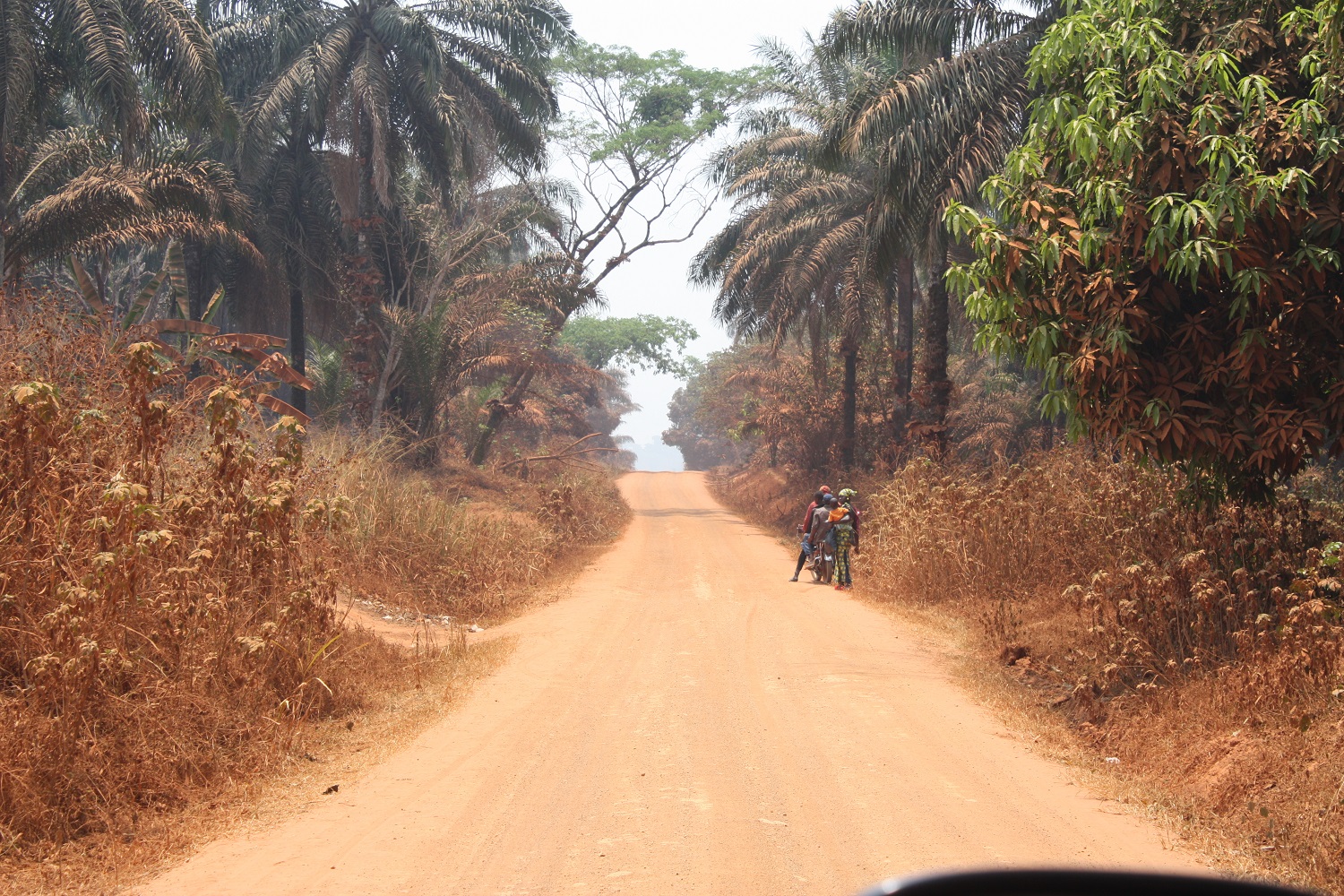 Microfinance: a catalyst for poverty alleviation and agriculture development in Cameroon.
