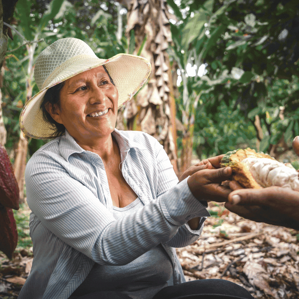 partnership-page-hero-new