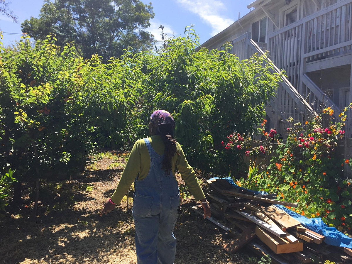 From the Field: Fellows share important lessons