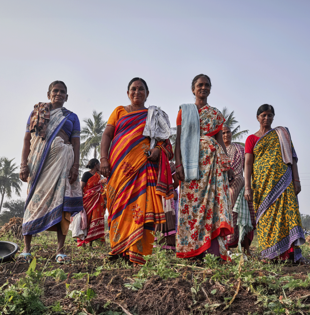 Diaspora co. is committed to paying farmers living wages so they can afford to grow naturally and regeneratively.