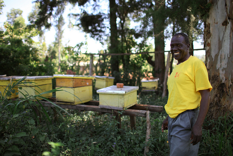 Tapping into Human Centered Design to Create Financial Products People Need