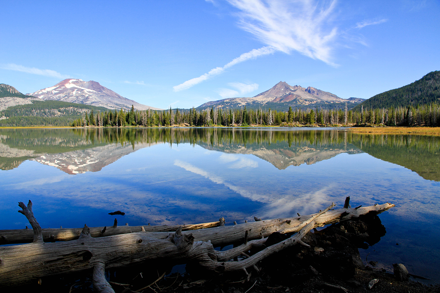 Kiva Zip is launching in Oregon! And we want you to be there