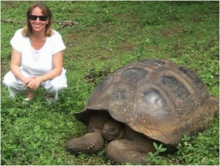 Featured Volunteer: Patricia Linderman