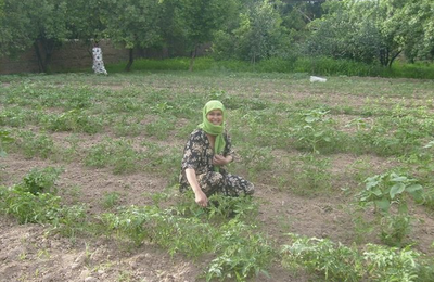 Making the Most of Migrant Money