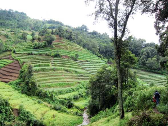 The Hunt for Great Borrowers