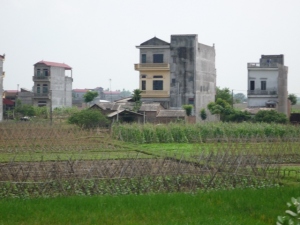 Honey I’m Home ( aka A Typical Kiva Day in the Office )