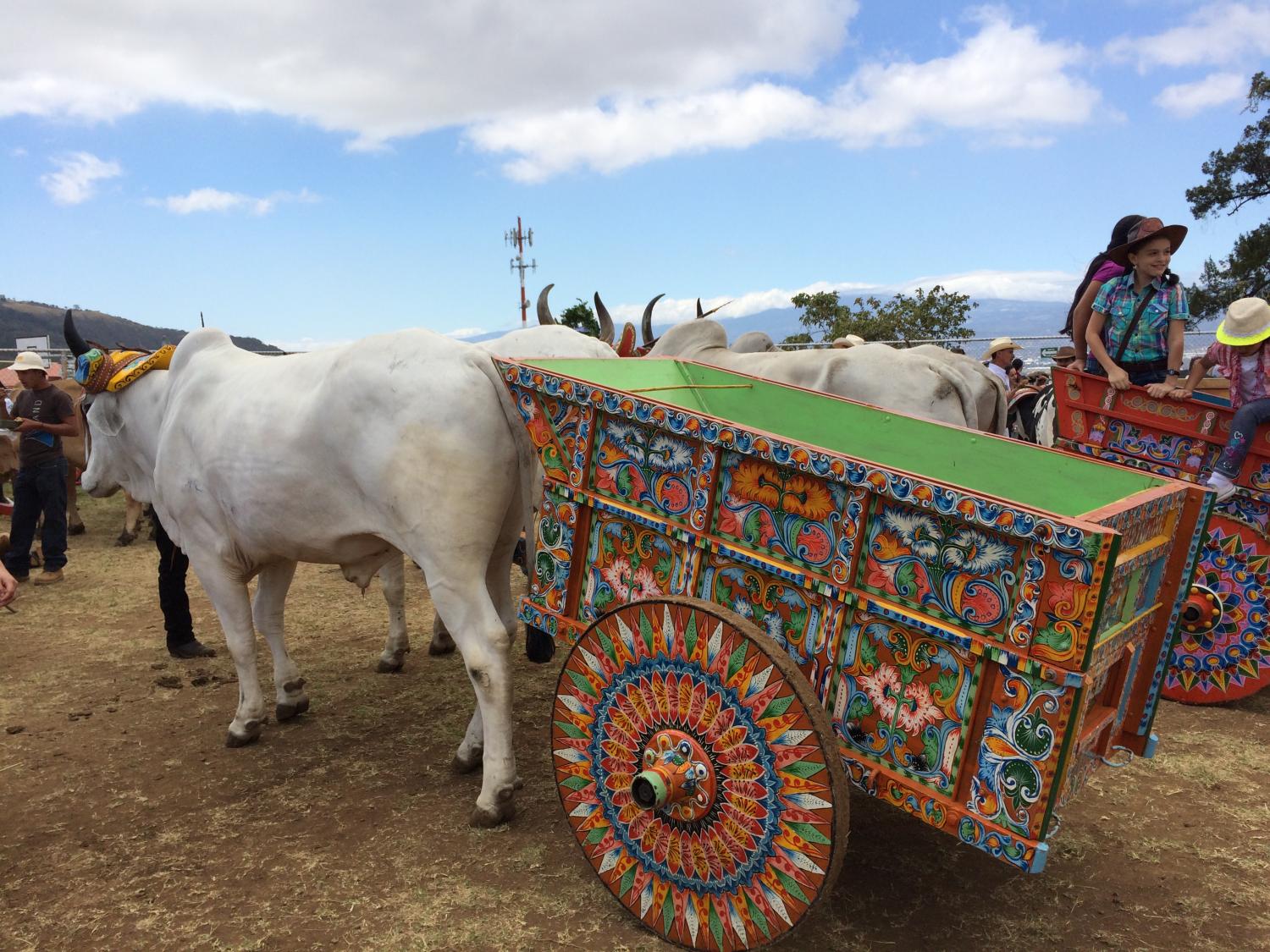Día de Boyero in Costa Rica