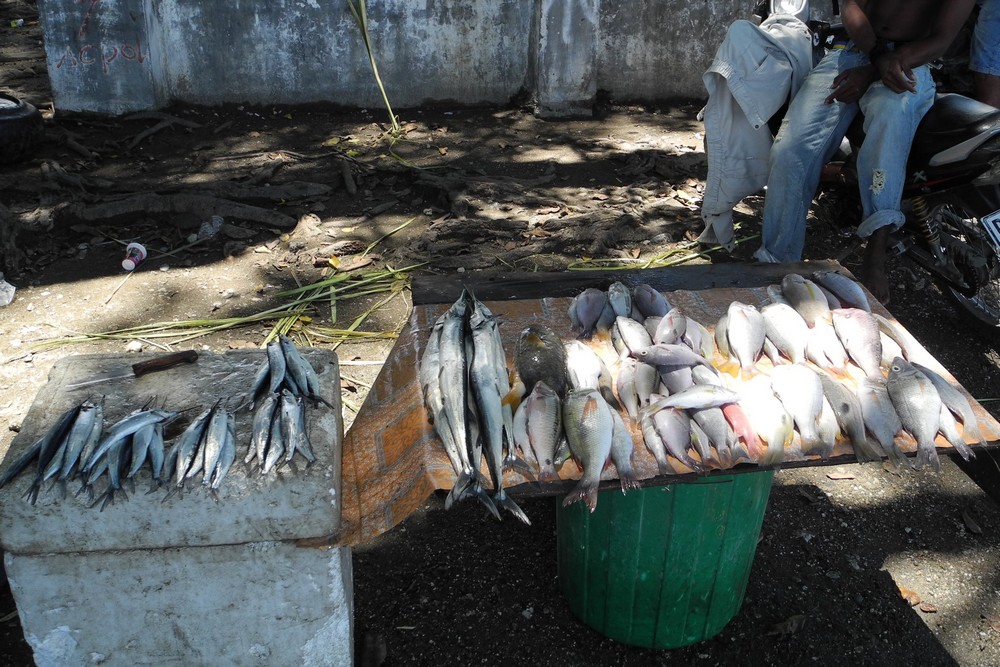 Artificially Sweetened Development