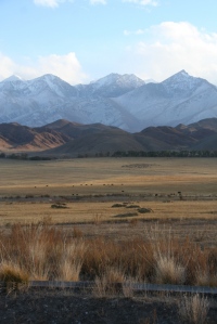 Verb rules and road duels