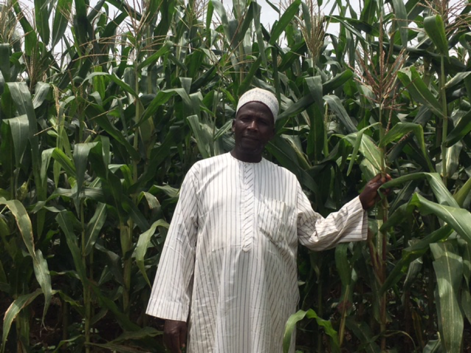 An (a)maize-ing tale: Nigeria’s new farming revolution