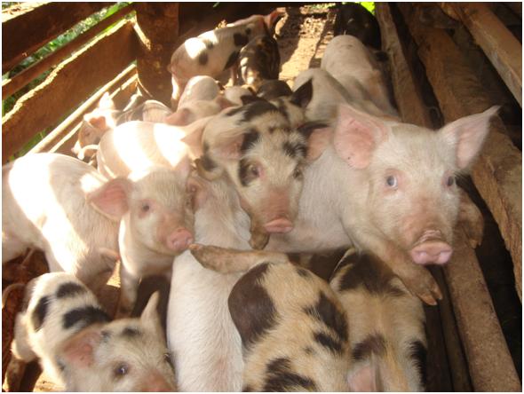 Wednesday saves the week