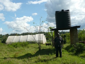 Questions from the Field: Why Do We Lend, What’s a Kiva Fellowship + How does Microfinance Support Green & Agricultural Development?