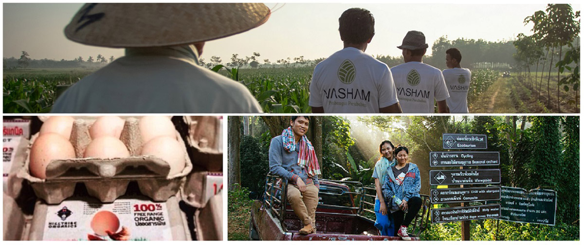 Cool New Partners: Helping small communities in Thailand and Indonesia