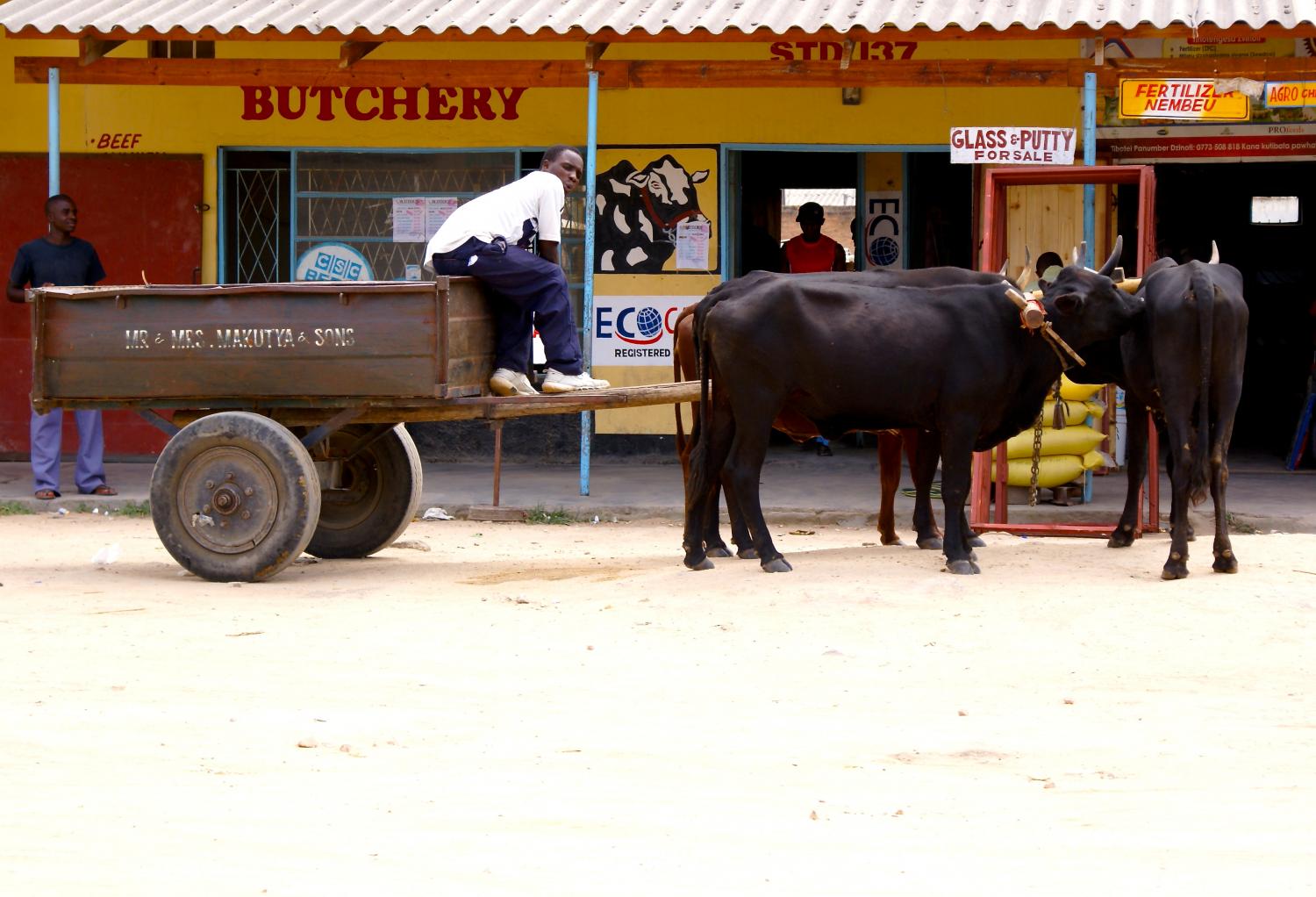 Ten reasons to include Zimbabwe in your next itinerary