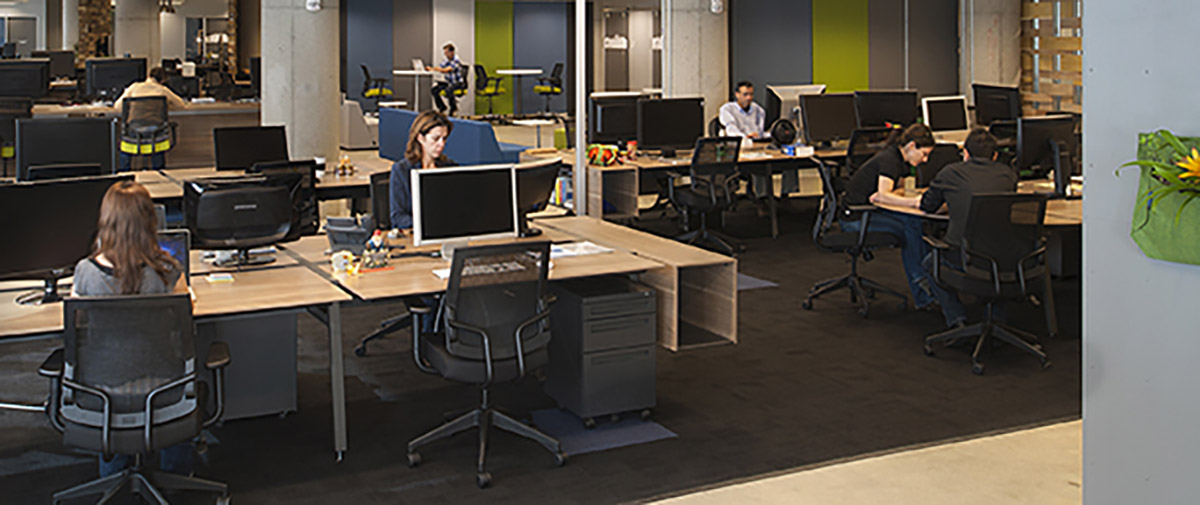 Kiva’s Chicken-or-the-Egg Experiment in Team Building