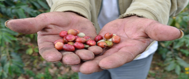 Life in the Field: Favorite Pics from Latin America and Kenya