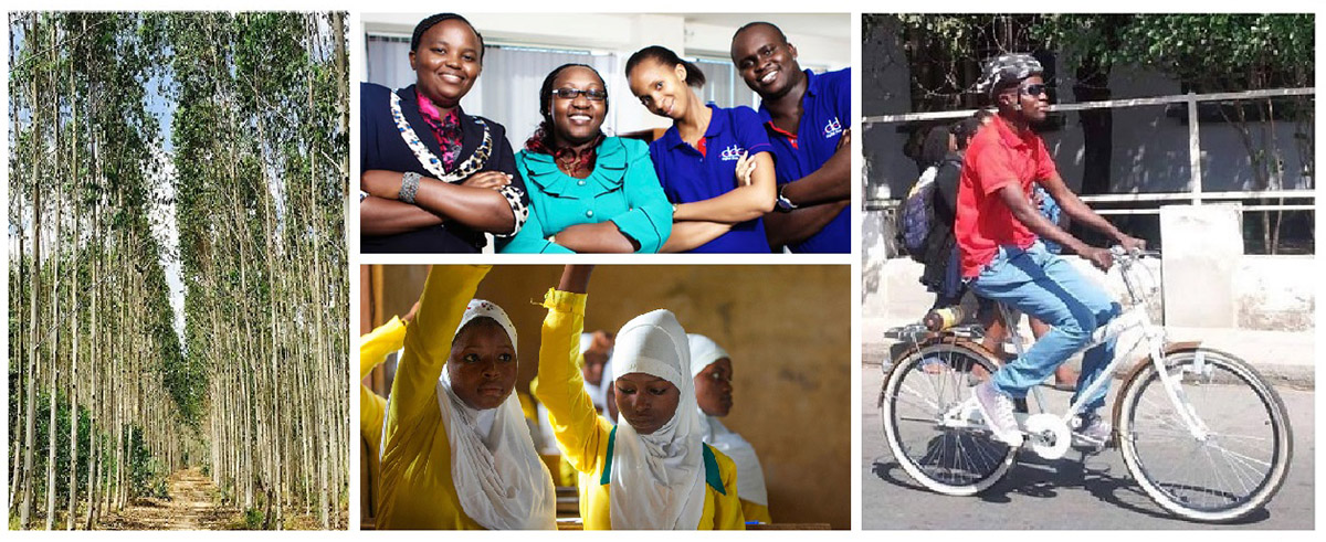 Cool New Partners: Providing serious opportunities all over the world