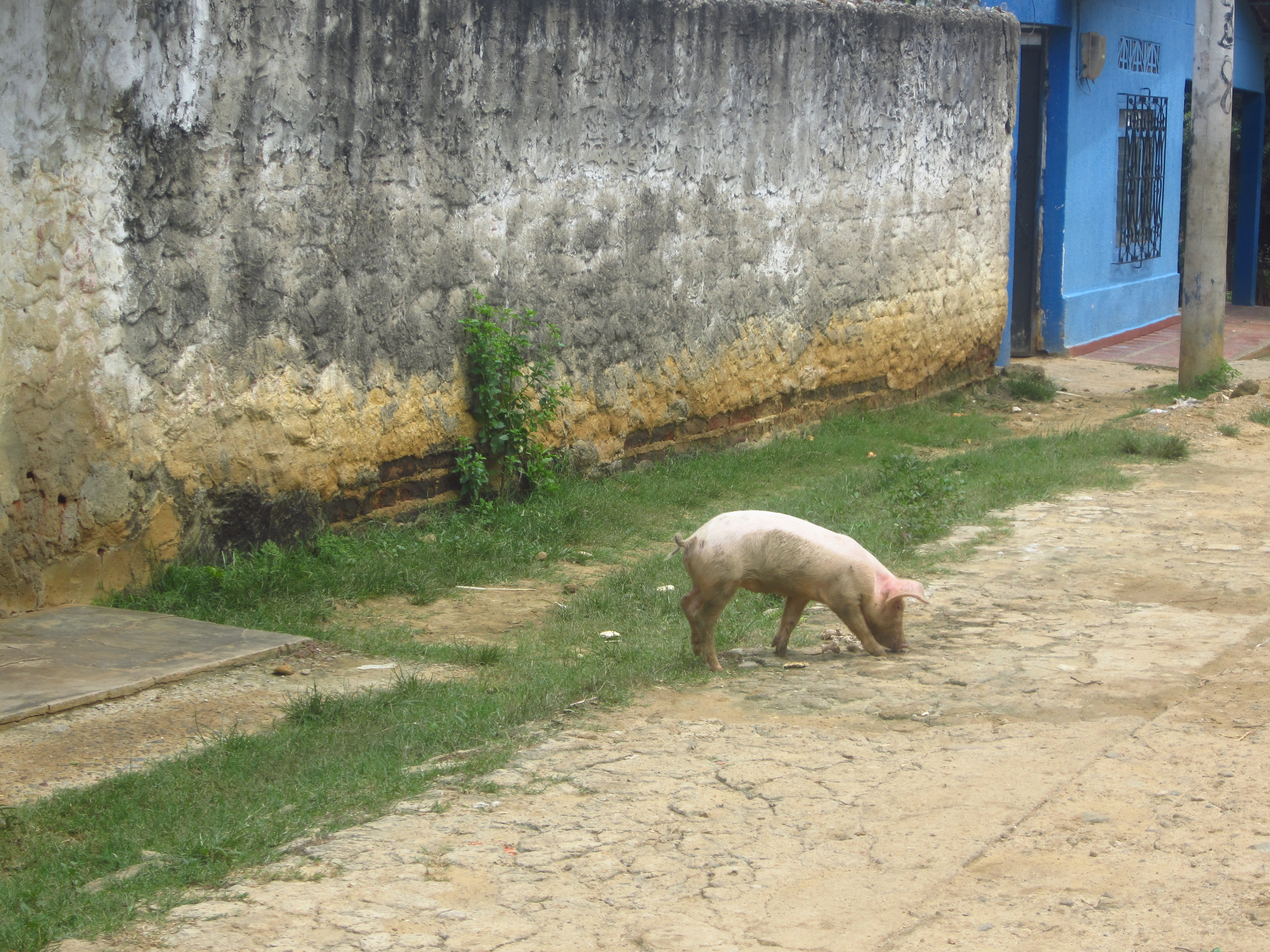VIDEO BLOG: Sewing, Weaving and Shoemaking in Small-Town Colombia