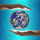 Translator profile picture