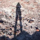 Translator profile picture