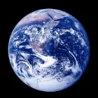 Translator profile picture