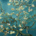 Translator profile picture