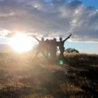 Translator profile picture