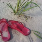 Translator profile picture