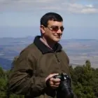 Translator profile picture