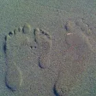 Translator profile picture