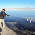 Translator profile picture