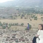 Translator profile picture