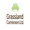 N/A, direct to Grassland Cameroon