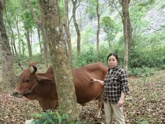 Photo of Tâm