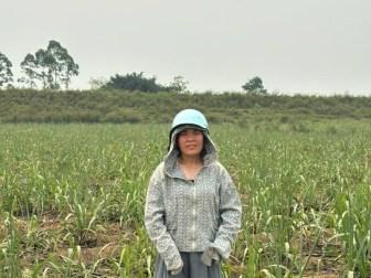 Photo of Liên