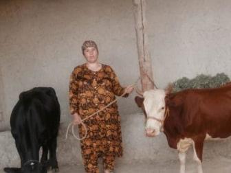 Photo of Nasiba