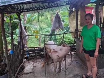 Photo of Cherry   Mae