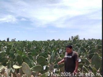 Photo of Rodolfo Tomas