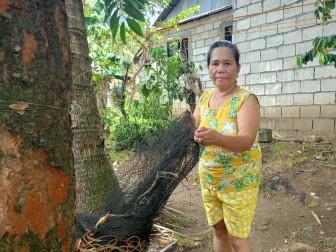 Photo of Vilma