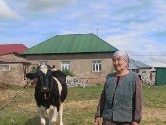Photo of Konsuluv