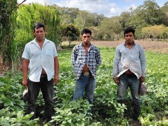 Photo of Los Agricultores Group