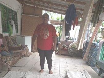 Photo of Melepiliniueti