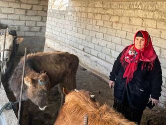 Photo of Sharifamokh