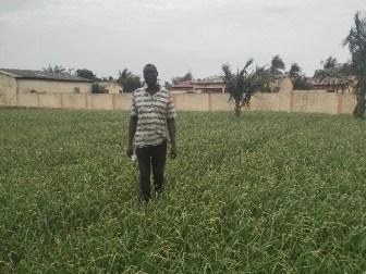 Photo of Adjete Ametepe
