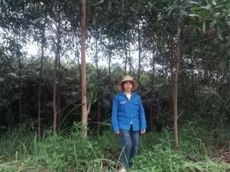 Photo of Chung