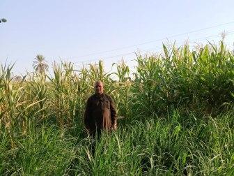 Photo of Mohammed