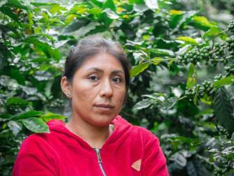 Photo of Cooperativa Laguna De Los Cóndores