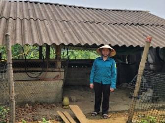 Photo of Hậu